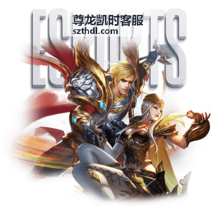 尊龙凯时客服多条接入通道的界面展示