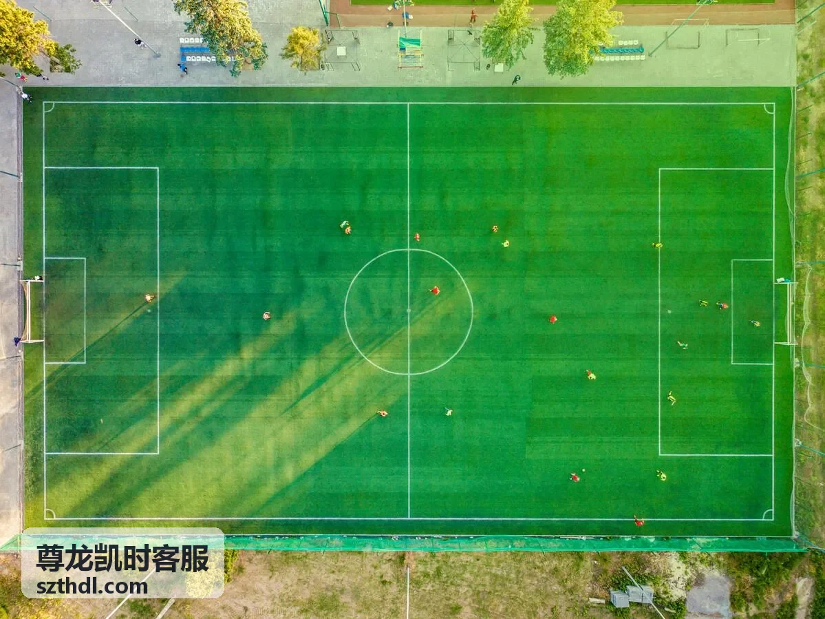 尊龙凯时客服规则与说明页面的条款阅读配图